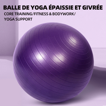Ballon de yoga épaissie balle de yoga 55 cm gonflable yoga fitness balle d'équilibre pvc épaissi balle de yoga givrée violet
